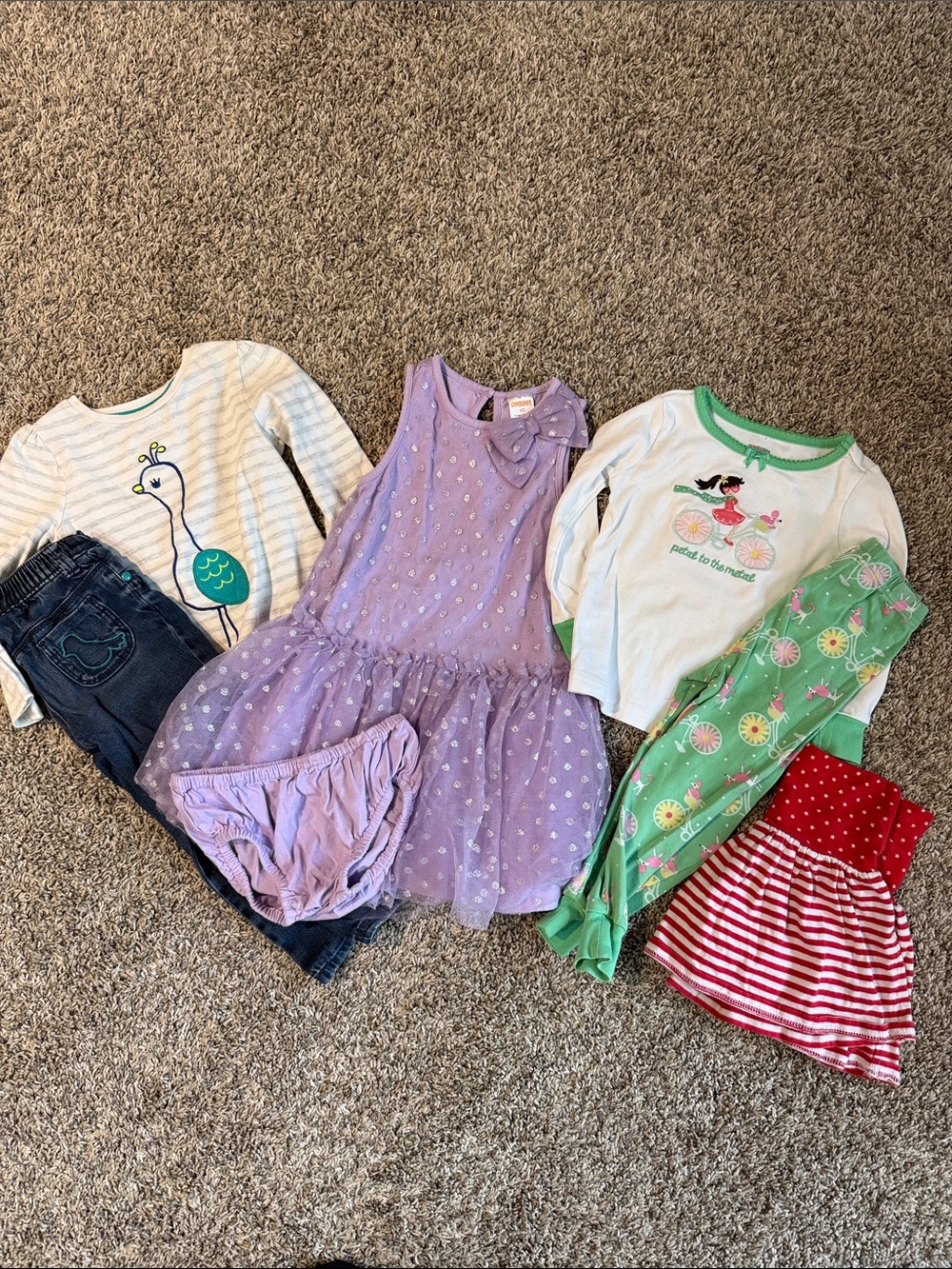 Gymboree Girls Purple Tulle Dress with Lilac Bloom, PJs, skirt and bird set